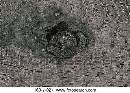Stock Photo - Texture, Grain, Wood, Rustic, Rustic, Background, Backgrounds. Fotosearch