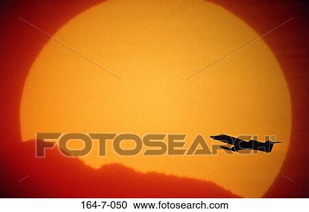 Plane, Take, Silhouette, Aviation, Business, Soaring, Aerial View Large Photo Image Stock Image - Plane, Take, Silhouette, Aviation, Business, Soaring, Aerial. Fotosearch