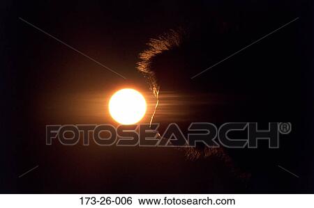 Wildlife, Head, Wild, Wild, Lions, Cats, Wilderness View Large Photo Image Stock Photograph - Wildlife, Head, Wild, Wild, Lions, Cats, Wilderness. Fotosearch