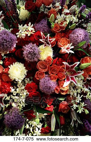 Stock Photography - , Flower, Boquet, Bloom, Flowers, Blossoming, Nature. Fotosearch