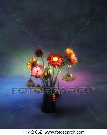 Flowers, Vase, Flower, Hearts, Stem, Bouquet View Large Photo Image Stock Image - Flowers, Vase, Flower, Hearts, Stem, Bouquet. Fotosearch