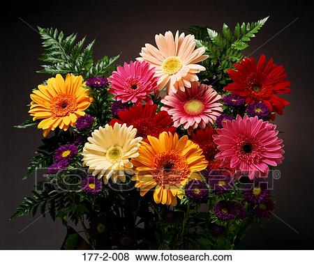 Stock Photo - , Hearts, Flower, Romantic, Romance, Valentines. Fotosearch