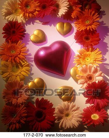 , Hearts, Romantic, Red, Valentine, Daisies, Hearts View Large Photo Image Stock Image - , Hearts, Romantic, Red, Valentine, Daisies, Hearts. Fotosearch