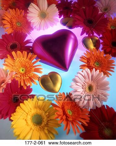 , Romance, Hearts, Flowers, Flower, Valentines View Large Photo Image Stock Image - , Romance, Hearts, Flowers, Flower, Valentines. Fotosearch