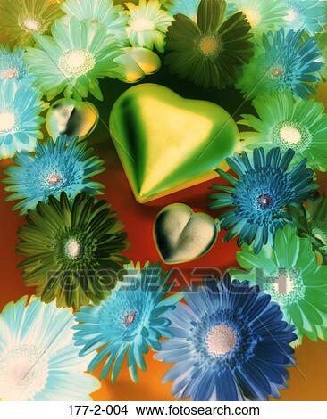 , Romance, Romantic, Flowers, Flower, Hearts View Large Photo Image Picture - , Romance, Romantic, Flowers, Flower, Hearts. Fotosearch