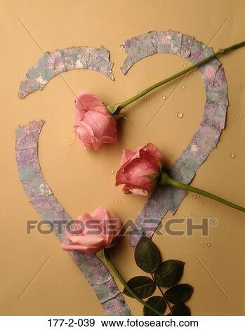 Romantic, day, Valentines, Heart, Stem, Flowers, Romance View Large Photo Image Stock Photo - Romantic, day, Valentines, Heart, Stem, Flowers, Romance. Fotosearch