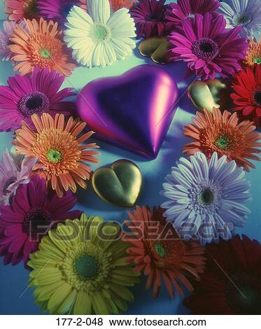 , Romantic, Hearts, Romance, Flowers, Valentine, Flower View Large Photo Image Stock Photo - , Romantic, Hearts, Romance, Flowers, Valentine, Flower. Fotosearch