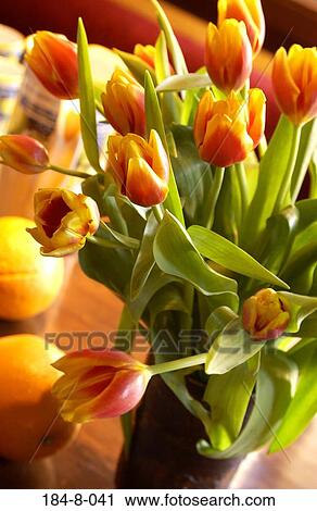 Bouquet, Window, Furnishing, We, Tulip, Spaces View Large Photo Image Stock Image - Bouquet, Window, Furnishing, We, Tulip, Spaces. Fotosearch