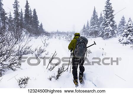 A backcountry skier faces into blowing snow during a subzero blizzard in the Alaska Range; Alaska, United States of America View Large Photo Image Stock Photograph - A backcountry skier faces into blowing snow during a subzero blizzard in the Alaska Range; Alaska, United States of America. Fotosearch