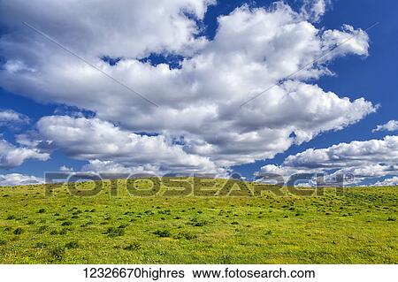Stock Photograph - A bright green field under a blue sky with cloud; Egerton, Nova Scotia, Canada. Fotosearch