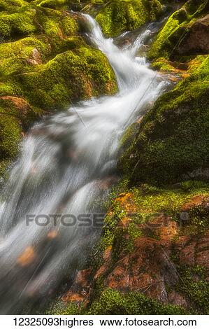 A brilliant spring sun highlights the tumbling white water and lush green mosses on Big Brook, Kelly's Mountain; Cape Breton, Nova Scotia, Canada View Large Photo Image Stock Photograph - A brilliant spring sun highlights the tumbling white water and lush green mosses on Big Brook, Kelly's Mountain; Cape Breton, Nova Scotia, Canada. Fotosearch