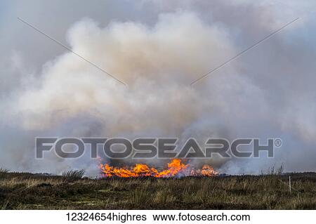 Stock Photograph - A brush fire burning in a dry grass field; Yorkshire, England. Fotosearch