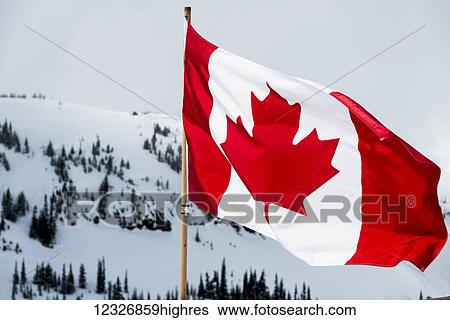 Stock Photograph - A Canadian flag with snow covered mountains and trees in the background; Whistler, British Columbia, Canada. Fotosearch