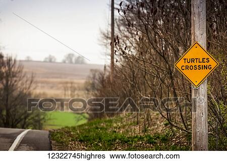 Stock Photograph - A caution sign on the side of the road saying turtles crossing; Herschel, Saskatchewan, Canada. Fotosearch