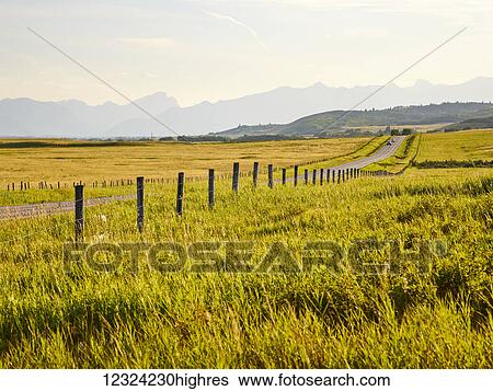 A country road between green fields and a silhouette of mountains in the distance; Cochrane, Alberta, Canada View Large Photo Image Stock Photograph - A country road between green fields and a silhouette of mountains in the distance; Cochrane, Alberta, Canada. Fotosearch