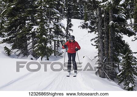 Stock Photograph - A cross country skier in a red coat skiing on the snow covered trails of the Rocky Mountains; Whistler, British Columbia, Canada. Fotosearch