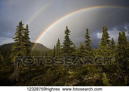 Stock Photograph - A double rainbow in the sky over forest covered hills; Alaska, United States of America. Fotosearch