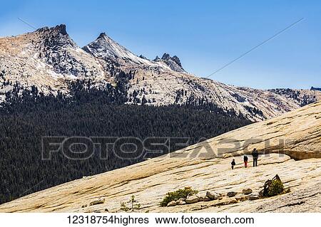 A family hiking at Lembert Dome, Yosemite National Park; California, United States of America View Large Photo Image Stock Photograph - A family hiking at Lembert Dome, Yosemite National Park; California, United States of America. Fotosearch