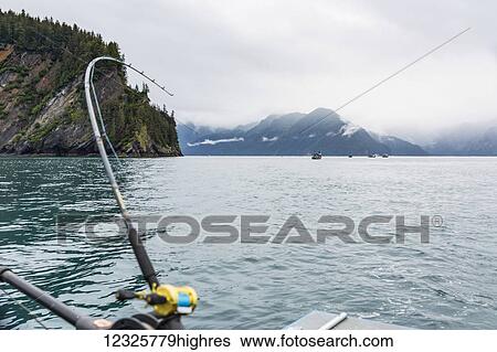 Stock Photograph - A fishing rod bends over as a halibut hits the line, foggy Kenai Mountains in the background, Resurrection Bay, South-central Alaska; Seward, Alaska, United States of America. Fotosearch