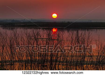 Stock Photograph - A glowing sun sinking over the horizon with a pink sky reflecting in the tranquil water of Echo Lake; Saskatchewan, Canada. Fotosearch