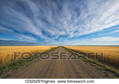 A gravel road that heads through Canada's prairies in rural Saskatchewan; Val Marie, Saskatchewan, Canada View Large Photo Image Stock Photograph - A gravel road that heads through Canada's prairies in rural Saskatchewan; Val Marie, Saskatchewan, Canada. Fotosearch