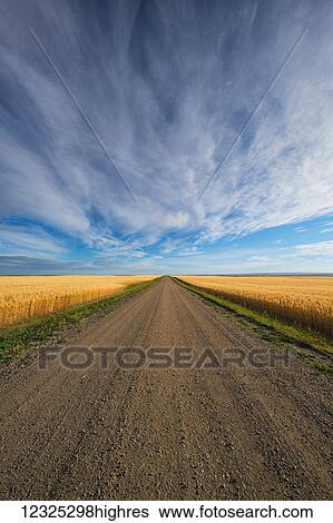 Stock Photograph - A gravel road that heads through Canada's prairies in rural Saskatchewan; Val Marie, Saskatchewan, Canada. Fotosearch