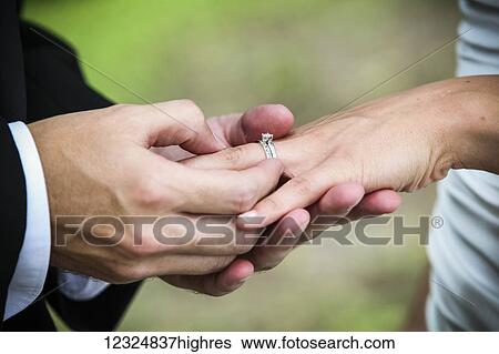 A groom puts a ring onto his bride's finger during a marriage ceremony; Ontario, Canada View Large Photo Image Stock Photograph - A groom puts a ring onto his bride's finger during a marriage ceremony; Ontario, Canada. Fotosearch