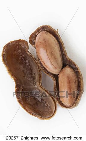 Stock Photograph - A half open boiled peanut on white background; Honolulu, Oahu, Hawaii, United States of America. Fotosearch
