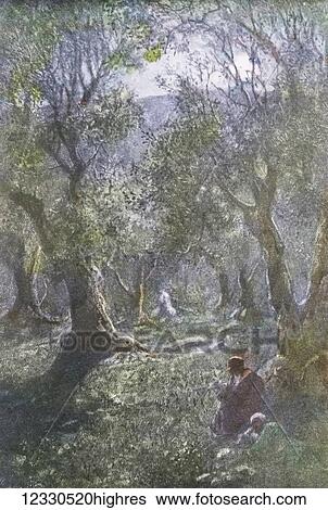 Stock Photograph - A hand coloured magic lantern slide circa 1900. Series The life of jesus of Nazareth. THE AGONY IN THE GARDEN And He came out and went, according to his custom, to the Mount of Olives, and the disciples also followed him... and He himself withdrew.... Fotosearch