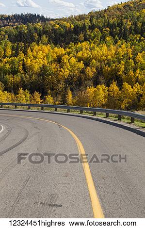 Stock Photograph - A hillside covered with a forest in autumn coloured foliage beside a curve in the road; Alberta, Canada. Fotosearch
