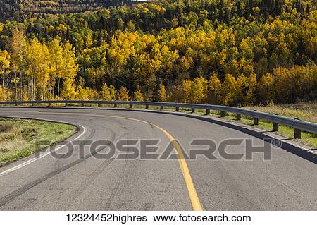 Stock Photograph - A hillside covered with a forest in autumn coloured foliage beside a curve in the road; Alberta, Canada. Fotosearch