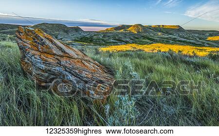 Stock Photograph - A lichen covered rock with 70 Mile Butte in the distance, Grasslands National Park; Saskatchewan, Canada. Fotosearch