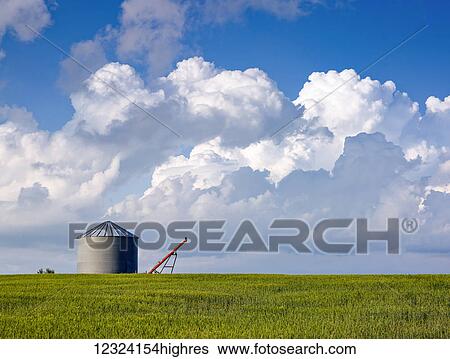 A lone silo in a green field; Alberta, Canada View Large Photo Image Stock Photograph - A lone silo in a green field; Alberta, Canada. Fotosearch
