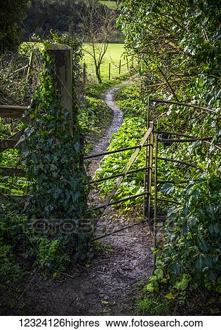 A pathway through a gate with ivy growing on the post; Bath, England View Large Photo Image Stock Photograph - A pathway through a gate with ivy growing on the post; Bath, England. Fotosearch