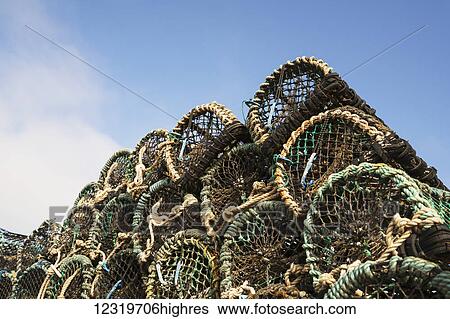 A pile of lobster traps against a blue sky; St. Abbs Head, Scottish Borders, Scotland View Large Photo Image Stock Photograph - A pile of lobster traps against a blue sky; St. Abbs Head, Scottish Borders, Scotland. Fotosearch