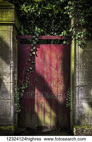 Stock Photograph - A red gate covered in ivy and moss; Bath, England. Fotosearch