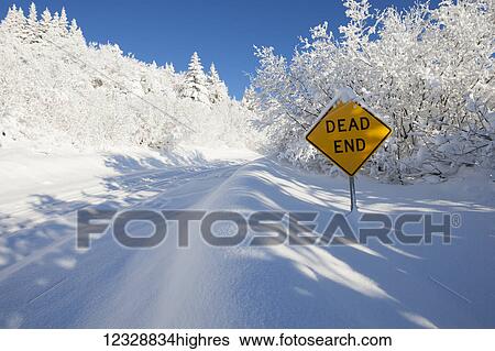 Stock Photograph - A road and trees covered with deep snow and a yellow sign saying dead end; Alaska, United States of America. Fotosearch
