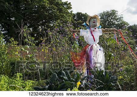 A scarecrow in a garden; Gateshead, Tyne and Wear, England View Large Photo Image Stock Photograph - A scarecrow in a garden; Gateshead, Tyne and Wear, England. Fotosearch
