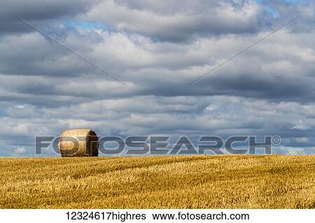 Stock Photograph - A single hay bale on a cut field under a cloudy sky; Ravensworth, North Yorkshire, England. Fotosearch