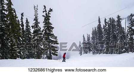A skier in a red coat skiing through the cloud in the snowy mountains; Whistler, British Columbia, Canada View Large Photo Image Stock Photograph - A skier in a red coat skiing through the cloud in the snowy mountains; Whistler, British Columbia, Canada. Fotosearch