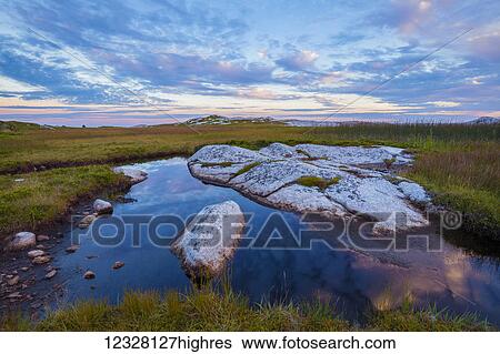 Stock Photograph - A small pond and coastal barren along the High Head Trail in evening light; Prospect, Nova Scotia, Canada. Fotosearch