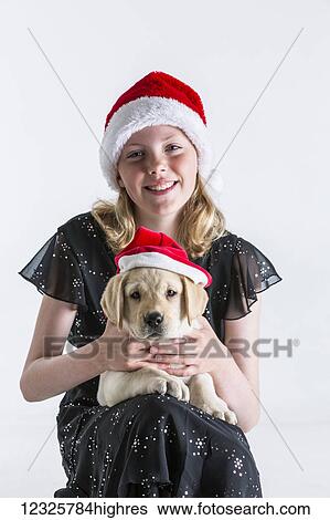 A smiling young girl wearing a santa hat hugs a Labrador puppy also wearing a santa hat against a white background; Anchorage, Alaska, United States of America View Large Photo Image Stock Photograph - A smiling young girl wearing a santa hat hugs a Labrador puppy also wearing a santa hat against a white background; Anchorage, Alaska, United States of America. Fotosearch