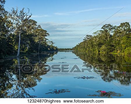 Stock Photograph - A tranquil river reflecting the blue sky and lined with trees; Krong Siem Reap, Siem Reap Province, Cambodia. Fotosearch