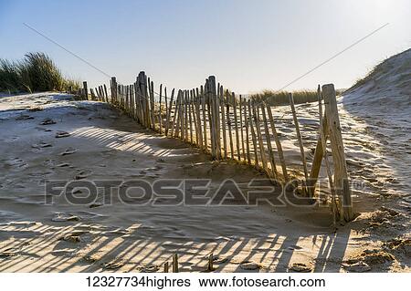 A wooden picket fence along a beach; South Shields, Tyne and Wear, England View Large Photo Image Stock Photograph - A wooden picket fence along a beach; South Shields, Tyne and Wear, England. Fotosearch