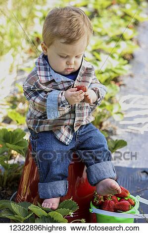 Stock Photograph - A young boy sits barefoot holding a strawberry; Oregon, United States of America. Fotosearch