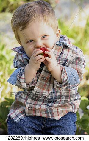 Stock Photograph - A young boy sits eating a large strawberry; Oregon, United States of America. Fotosearch