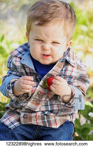 A young boy sits holding a large strawberry and making a funny face; Oregon, United States of America View Large Photo Image Stock Photograph - A young boy sits holding a large strawberry and making a funny face; Oregon, United States of America. Fotosearch