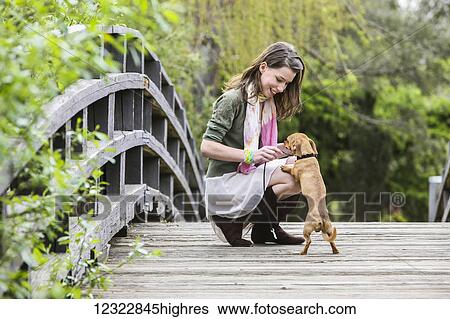 A young woman on a wooden bridge with her small dog; Washington, United States of America View Large Photo Image Stock Photograph - A young woman on a wooden bridge with her small dog; Washington, United States of America. Fotosearch