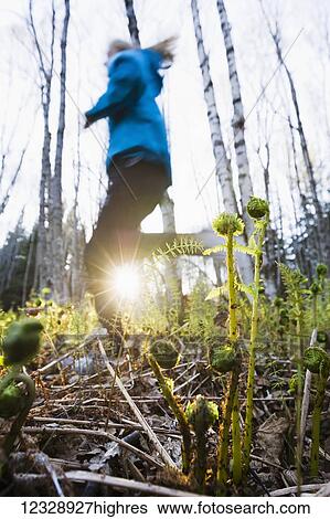 A young woman running across the plants of the forest floor in a forest; Homer, Alaska, United States of America View Large Photo Image Stock Photograph - A young woman running across the plants of the forest floor in a forest; Homer, Alaska, United States of America. Fotosearch
