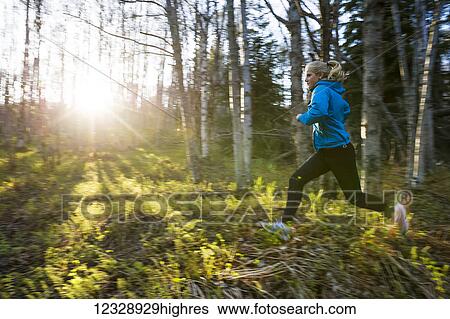 A young woman running across the plants of the forest floor in a forest; Homer, Alaska, United States of America View Large Photo Image Stock Photograph - A young woman running across the plants of the forest floor in a forest; Homer, Alaska, United States of America. Fotosearch